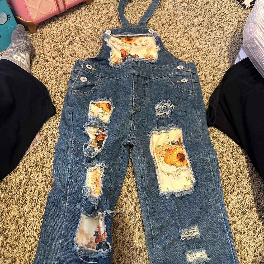 Toddler fall overall outfit 4t
